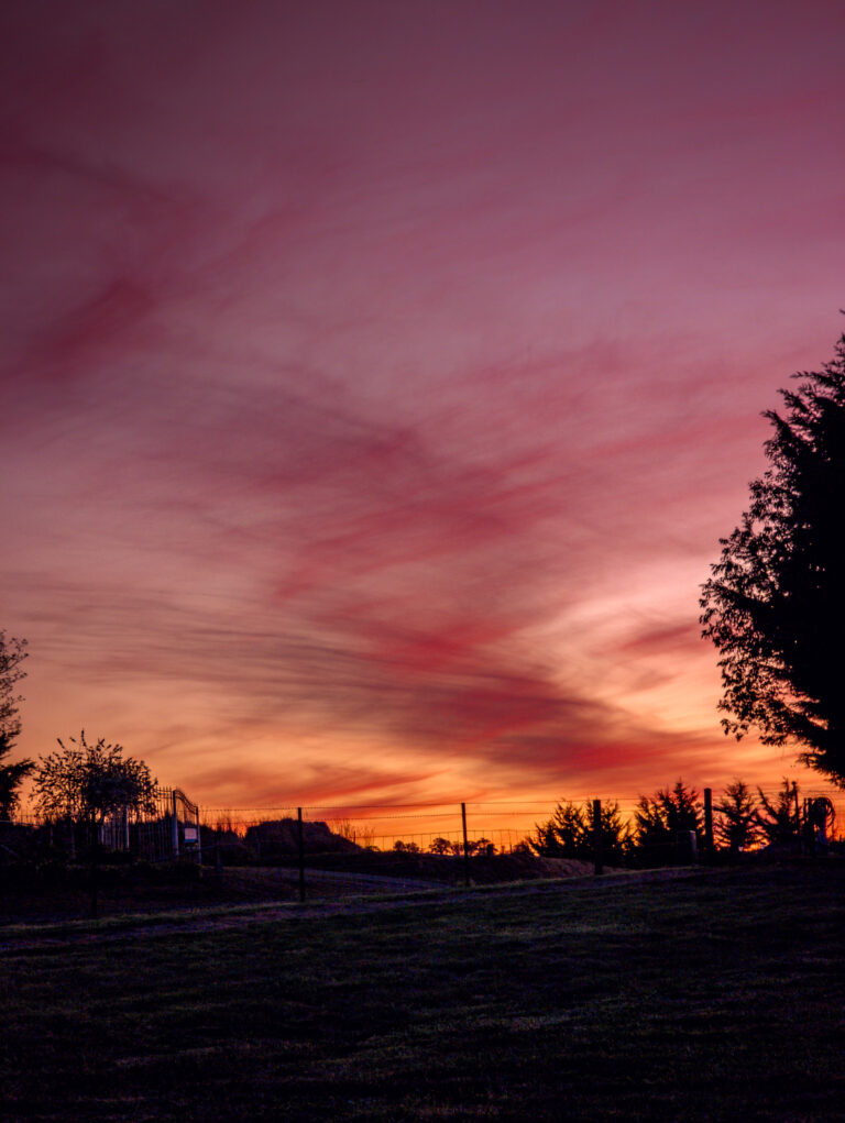 Purple and pink sunset